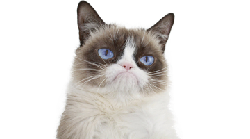 2017_09_grumpy.png