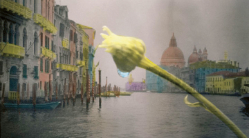 Kristīne Luīze Avotiņa. No cikla Rozes Venēcijai. 2004. Fotopapīrs, kolorējums ar tušu. Autores īpašums.