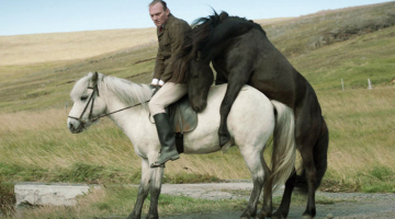 Zirgu acīm, cilvēku acīm