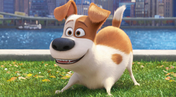 Mīluļu slepenā dzīve