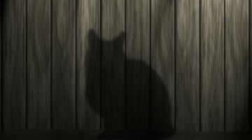 Ilustratīvs attēls no pixabay.com