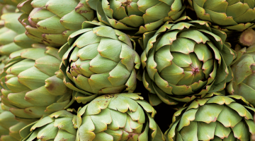 2018_02_Artichoki2.png