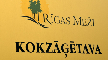 SIA "Rīgas meži" kokzāģētava "Norupe". Foto: Zane Bitere, LETA
