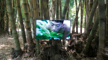 Ķīnieša Džena Bo video Pteridofilija aktualizē nepieciešamību atjaunot cilvēka un dabas saites, nodoties jutekliskām baudām ar Taivānas mežu papardēm.
Publicitātes foto