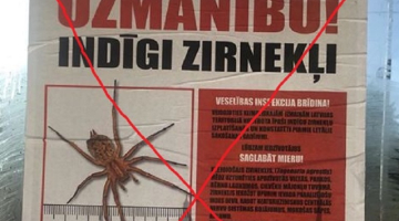 Plakāts sabiedriskā transporta pieturvietā. Publicitātes foto