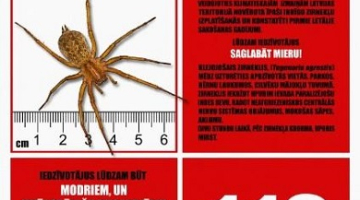 SOME 1 atsūtītais plakāts ar brīdinājumu par indīgiem zirnekļiem.