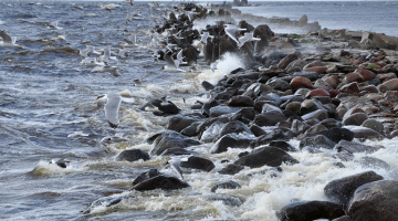 Foto — Nauris Kozuliņš