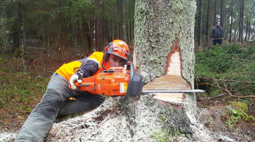 Katras valsts izlasē startē četri dalībnieki — viens juniors un trīs profesionāļi. Ķepīšu ģimene Latvijas izlasē bija pārstāvēta abās klasēs, jo piedalījās arī Pētera tētis Gvido — profesionāls mežcirtējs.
Foto no personīgā arhīva