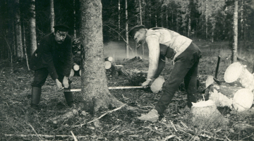 No bēgļu gaitām atgriezušies bēgļi malkas sagatavošanas darbos.
Foto no Latvijas Kara muzeja krājuma
