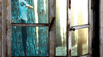 Paradoksālā Latvija