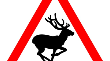 Ilustratīvs attēls no pixabay.com