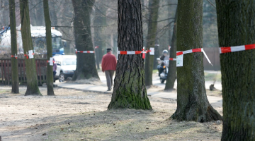 Jau 2006.gadā Kuldīgas un Slokas ielu iedzīvotāji ar saviem protestiem panāca, ka aptur iecerēto koku izciršanu pie Botāniskā dārza. Foto: Gatis Dieziņš, LETA