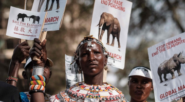 Samburu cilts sieviete piedalās akcijā, lai aizsargātu no iznīcināšanas Āfrikas ziloņus, nīlzirgus, degunradžus un citus cilvēka apdraudētus dzīvniekus. Foto: AFP/Scanpix
