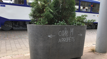 Par trim podiem netālu no krustojuma ar Ģertrūdes ielu rūpi uzņēmusies kafejnīca Cafe M, kuras īpašniece Ulla Milberta ir viena no augu glābšanas aktīvistēm.
Foto — Baiba Kļava