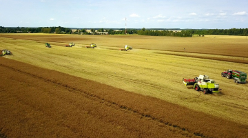 Ražas laiks Jelgavas pusē. Foto: Kaspars Nordens, LETA