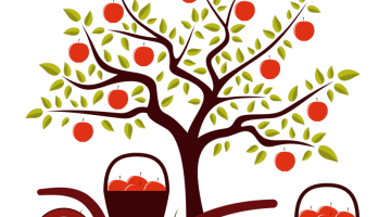 Ilustrācija — Shutterstock