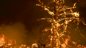 Ugunsgrēks Gospera kalnos uz ziemeļrietumiem no Sidnejas decembra beigās.
Foto — AP/Scanpix