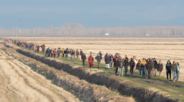 Patvēruma meklētāju kolonna pie Turcijas un Grieķijas sauszemes robežas  2. martā.
Foto — AFP/LETA