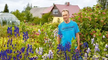 Jāņa Ulmja dārzā aug vairāk nekā 300 dažādu veselības augu. Pie katra ir plāksnīte ar nosaukumu un cipariņi, kas apzīmē attiecīgā auga izmantošanu konkrētā fitoprodukta formulā. Jo vairāk ciparu, jo plašāks pielietojuma spektrs.
Foto — Madara Gritāne