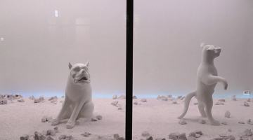 Woof, woof!