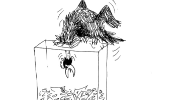 Romana Vitkovska karikatūra