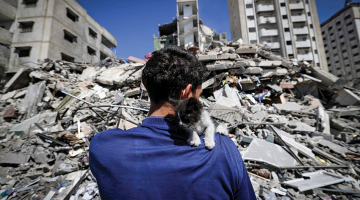 Palestīnietis Ahmeds Mosabe (28) pie kādas Izraēlas armijas sabombardētas mājas Gazas joslā 18. maijā.
Foto — Scanpix