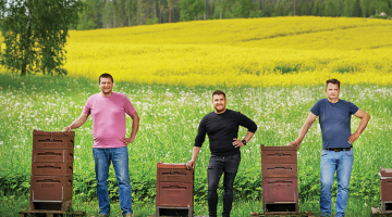 Rapšu lauks un bišu drava netālu no Kaives. No kreisās — bitenieks Māris Kreicbergs un lauksaimnieki Linards Selivanovičs un Agris Jurģis-Jurģītis.
Foto — Edmunds Brencis