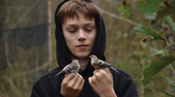 Papes ornitoloģiskajā stacijā var mācīties par putniem un redzēt, kā tos gredzeno, stāsta putnu fotogrāfs Miķelis Zalāns, kurš rokās tur parastos ķeģus. «Tos noķer tīklos un uz kājām uzliek metāla gredzentiņus. Tas nenodara putnam sāpes, bet cilvēkiem palīdz izsekot tā migrācijas ceļu.»
Foto — Matīss Fjodorovs