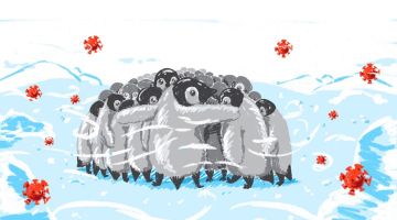 Ilustrācijas autors: Ņikita Družiņins