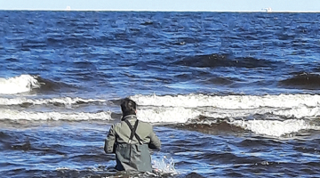 Ruslans Lucenko brien pēc ūdens parauga Vakarbuļļu pludmalē. Foto — Veselības inspekcija