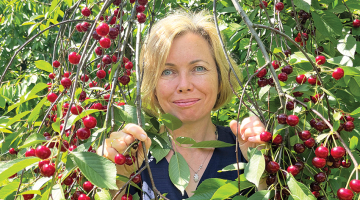 Dobeles Dārzkopības institūta vadošā pētniece Daina Feldmane.
Foto — Ieva Puķe