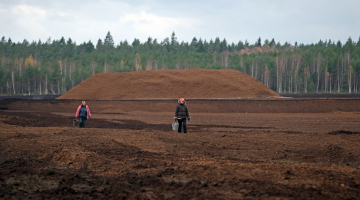 Kūdras ieguves vieta. Ilustratīvs foto - Edijs Pālens, LETA