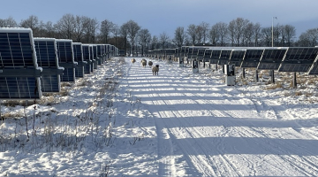 Industriālo saules paneļu parks ziemā. Foto - no "European Energy" arhīva