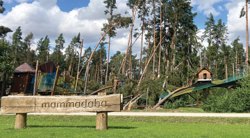 Tarzāna trase un tīklu parks ataino vētras ceļu, kas Tērvetes apkārtnē 50 un 100 gadus vecus kokus gāza kā sērkociņus.
Foto — Ilze Šķietniece