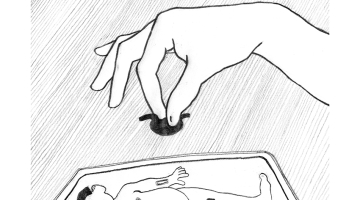 Ilustrācija — Mētra Saberova