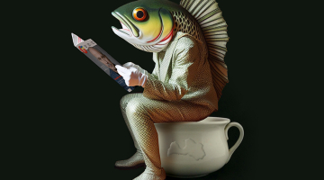 Ilustrācija — Krišs Salmanis