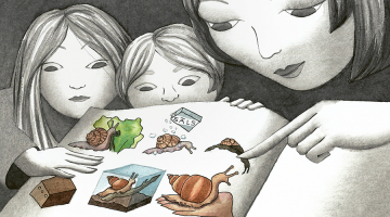 Ilustrācija – Agnese Apine