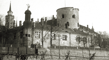 1919. gada 8. jūlijs. Pulcēšanās Daugavmalā pie Rīgas pils, lai sagaidītu Latvijas Pagaidu valdību atgriežamies no Liepājas. Foto — Vilis Rīdzenieks. Rīgas vēstures un kuģniecības muzeja krājums 