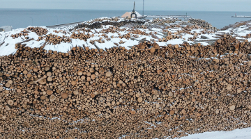 Kadrs no filmas Visi putni skaisti dzied. Publicitātes foto