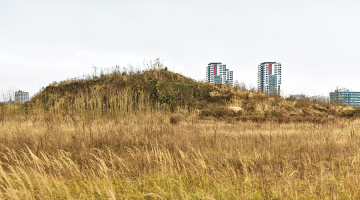 Skanstes parka veidošanā noraktā grunts sagāzta lielā kaudzē. Tajā ir pamatīgs naftas un smago metālu piesārņojums, turklāt tā trīs gadus bez saskaņojuma nogulējusi uz kaimiņos esošas privātas zemes.