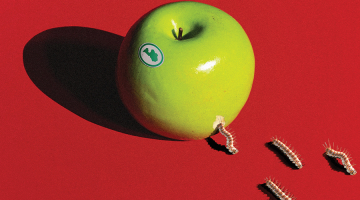 Ilustrācija — Krišs Salmanis