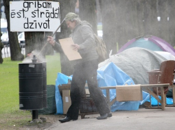 Evija Trifanova, LETA