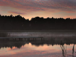 Foto: Gundega Šķēla, speciāli Ir.lv