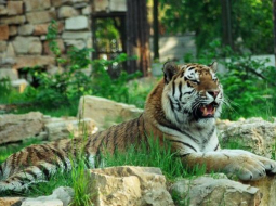 Rīgas Zooloģiskais dārzs