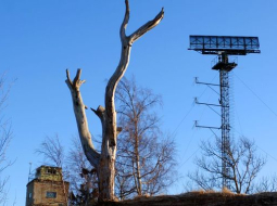 Gatis Rozenfelds, F64