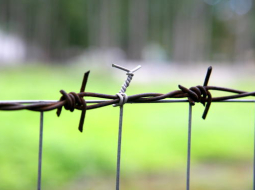 Foto: Lauris Nagliņš, LETA