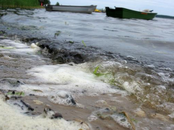 Izskalotas ūdenszāles un netīrumi šovasar Ķīšezera krastā. Foto: Jānis Skruzis, LETA