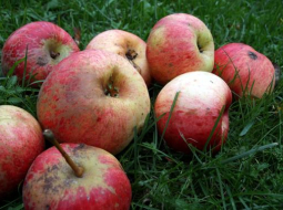 Foto Kaspars Krafts, f64