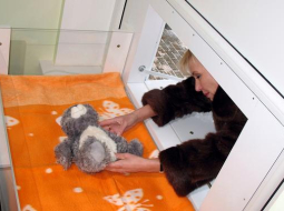 Glābējsilītes atklāšanā pērn Daugavpilī. Foto: Ivars Soikāns, LETA