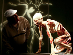 foto: Bodies Revealed